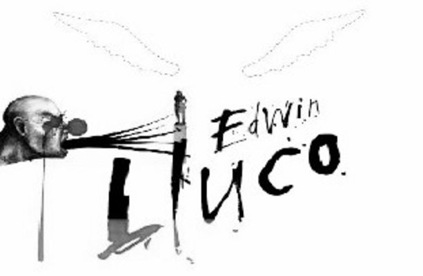 Lluco Edwin | ARTEX