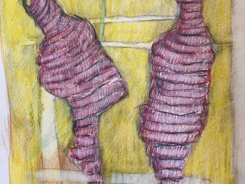 Chontacuros  - González Juan Francisco | ARTEX