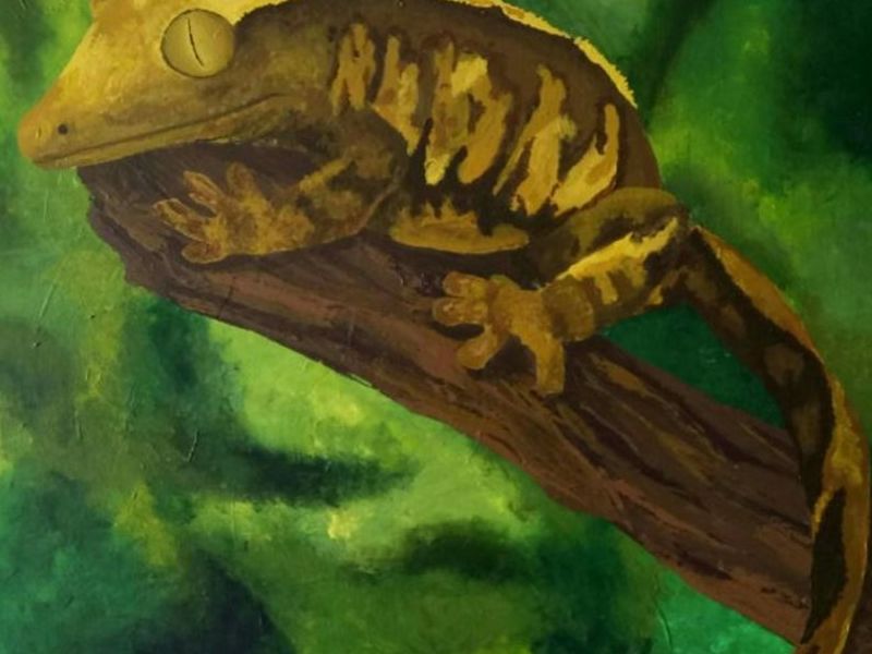 Mara Ortiz / Gecko crestado en rama