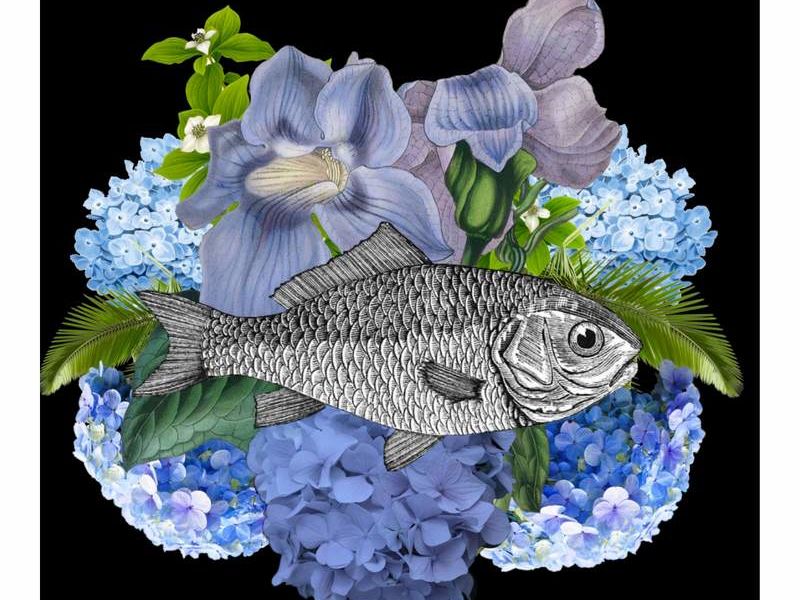 Conka Collage - pez flores azules
